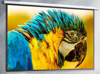 �O�׹���Ļ�������Q�� ȫ���˽���֪����ʲô�ǌ��I(y��)